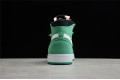 Nike Air Jordan 1 High Tropical Stadium Green CT0979-300 Basketball Shoes