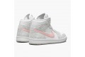 Air Jordan 1 Mid SE Light Iron Ore Women/Men DN4045-001