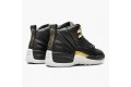 Air Jordan 12 Retro Reptile Women/Men AO6068-007