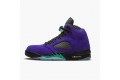 Air Jordan 5 Retro Alternate Grape Men 136027-500