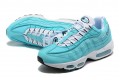 Nike Air Max 95 TT (M) Blue White Running Shoes DZ4395-400