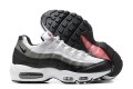 Nike Air Max 95 TT (M) White Black Running Shoes DR2550-100