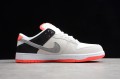 Nike SB Dunk Low AM90 Infrared --CD2563-004 Casual Shoes Unisex