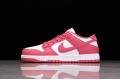 Nike SB Dunk Low Archeo Pink --DD1503-111 Casual Shoes Unisex