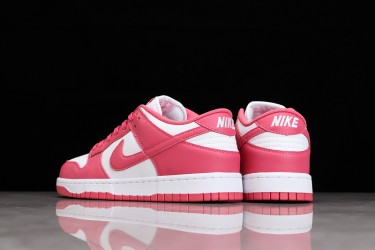 Nike SB Dunk Low Archeo Pink --DD1503-111 Casual Shoes Unisex