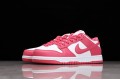 Nike SB Dunk Low Archeo Pink --DD1503-111 Casual Shoes Unisex