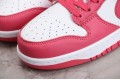 Nike SB Dunk Low Archeo Pink --DD1503-111 Casual Shoes Unisex