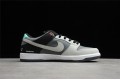 Nike SB Dunk Low Camcorder --CV1659-001 Casual Shoes Unisex