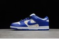 Nike SB Dunk Low Hyper Royal --DH3228-100 Casual Shoes Unisex