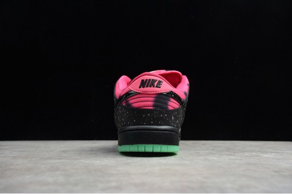 Nike SB Dunk Low Northern Lights --313171-063 Casual Shoes Men