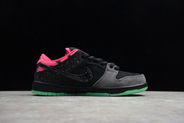 Nike SB Dunk Low Northern Lights --313171-063 Casual Shoes Men