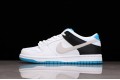 Nike SB Dunk Low White --DJ9158-200 Casual Shoes Unisex