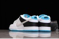 Nike SB Dunk Low White --DJ9158-200 Casual Shoes Unisex