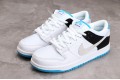 Nike SB Dunk Low White --DJ9158-200 Casual Shoes Unisex