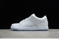 Nike SB Dunk Low White Ice --304292-100 Casual Shoes Unisex