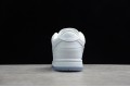 Nike SB Dunk Low White Ice --304292-100 Casual Shoes Unisex