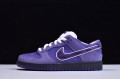 Nike SB Dunk Low Concepts Purple Purple Lobster BV1310-555