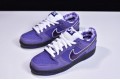 Nike SB Dunk Low Concepts Purple Purple Lobster BV1310-555