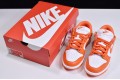 Nike SB Dunk Low SP Syracuse White Orange CU1726-101